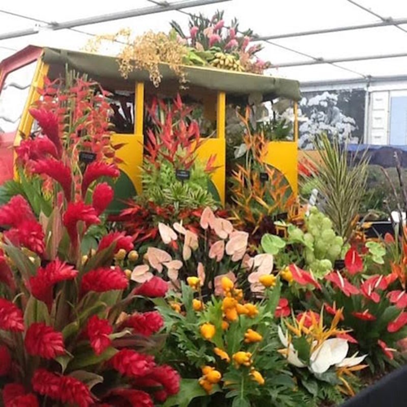 Grenada Wins 14th GOLD MEDAL at RHS Chelsea Flower Show in the UK