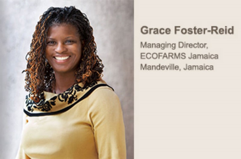 Empowering Caribbean Business Women: Meet Grace Foster-Reid
