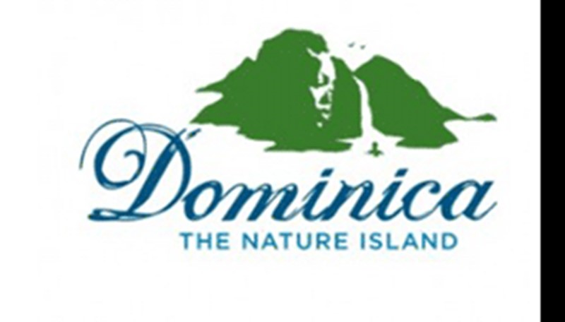 Clinics In Dominica To Receive Over EC$20,000 In Supplies From US Based Dominican Groups 