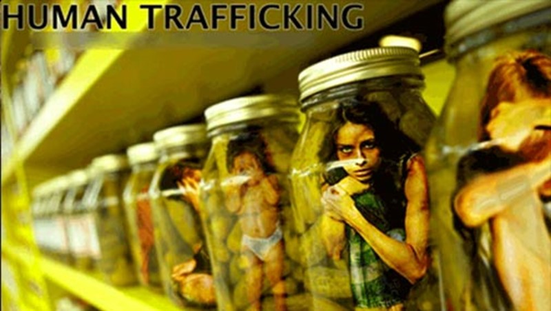 Human Trafficking  