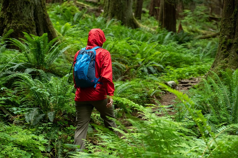 What to Wear Hiking: Essential Clothes & Gear 