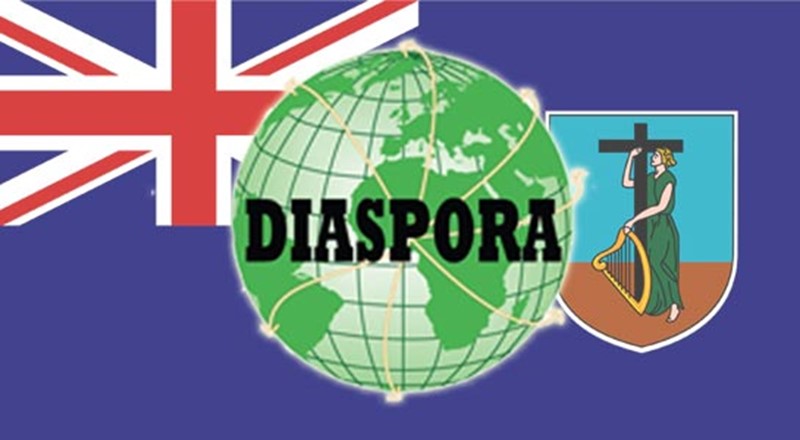 Diaspora flag
