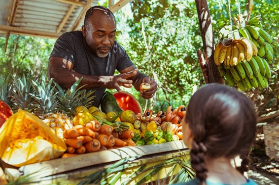 Jamaica fruit seller