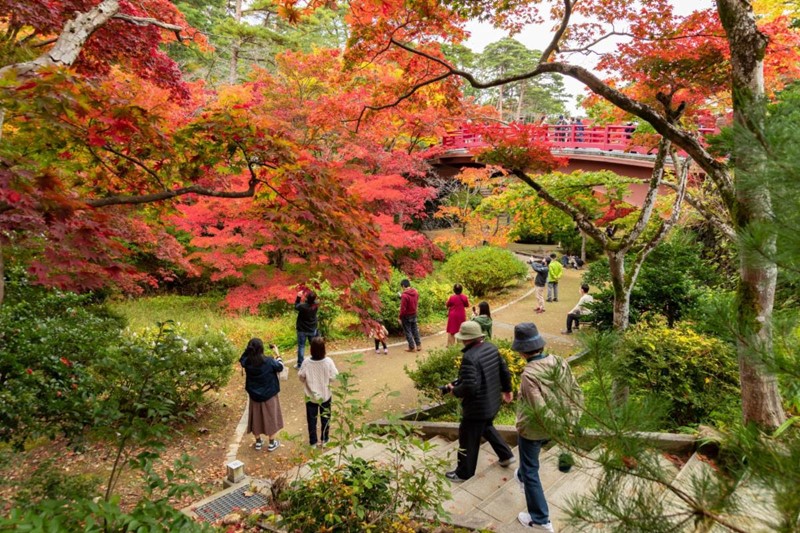 Yahiko Park in Niigata, Japan