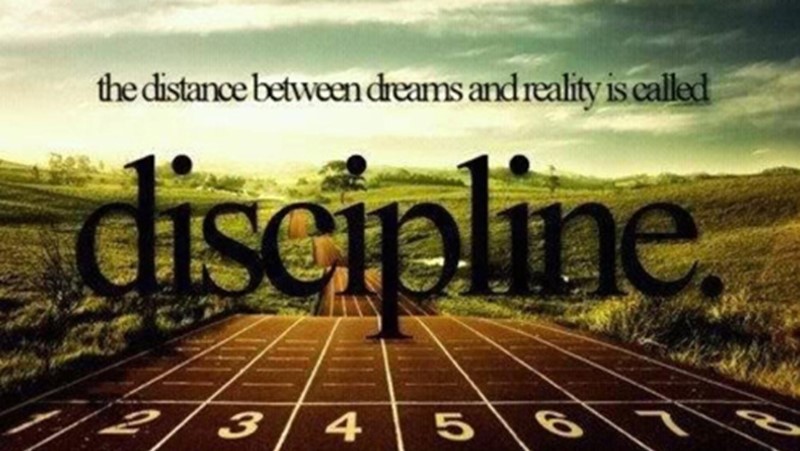 discipline 