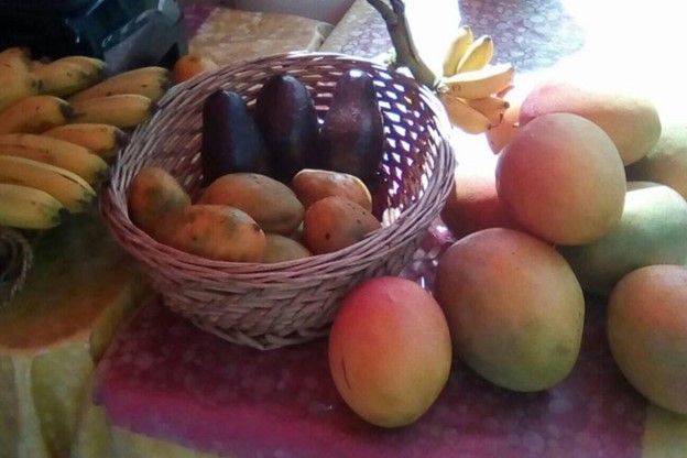 Fruits on display