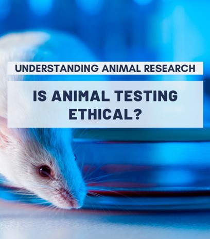Cosmetics industry brands animal testing banned in Canada