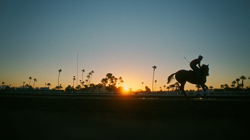 JOCKEY on horse in Sunset